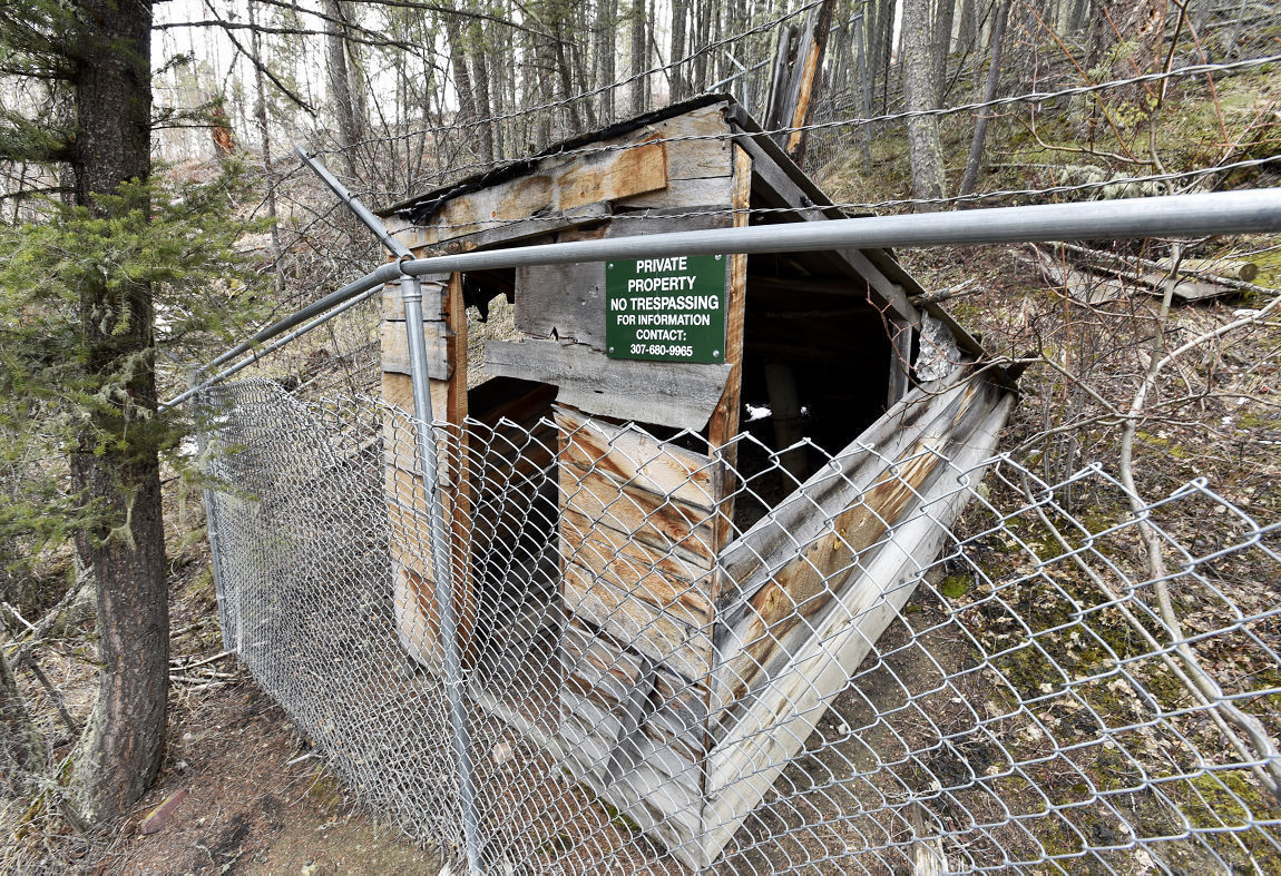 A root cellar on Kaczynski's site